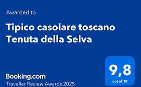 Tipico casolare toscano Tenuta della Selva